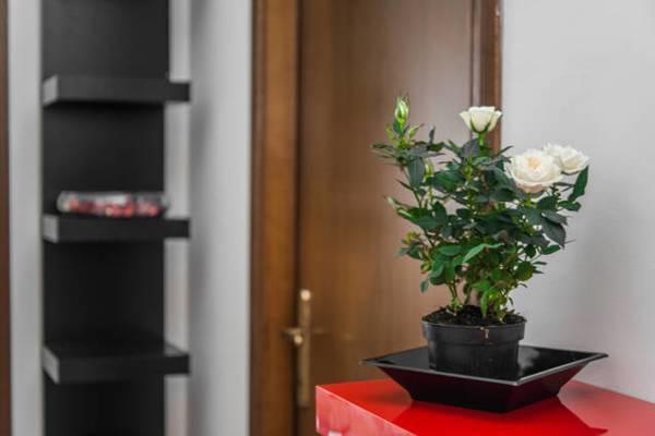 Tolli Hotell Roma Eksteriør bilde